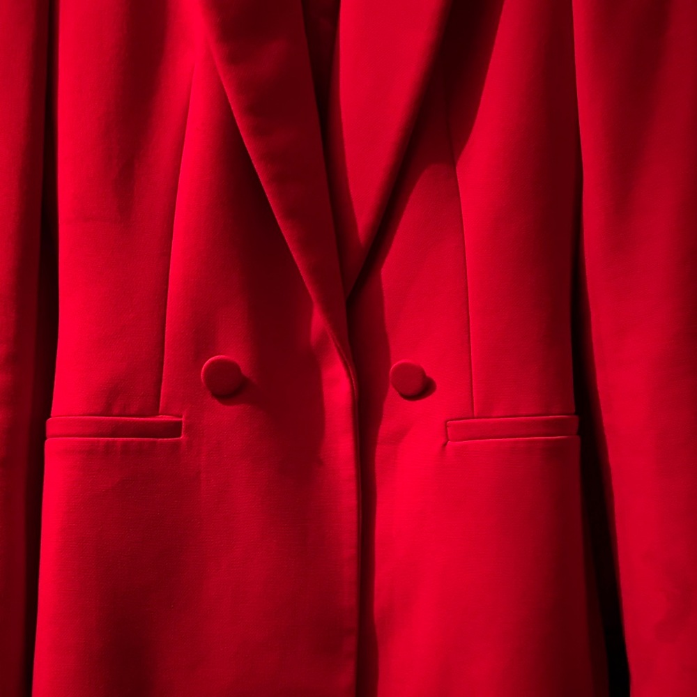 Zara Blazer - Picture 5 of 6